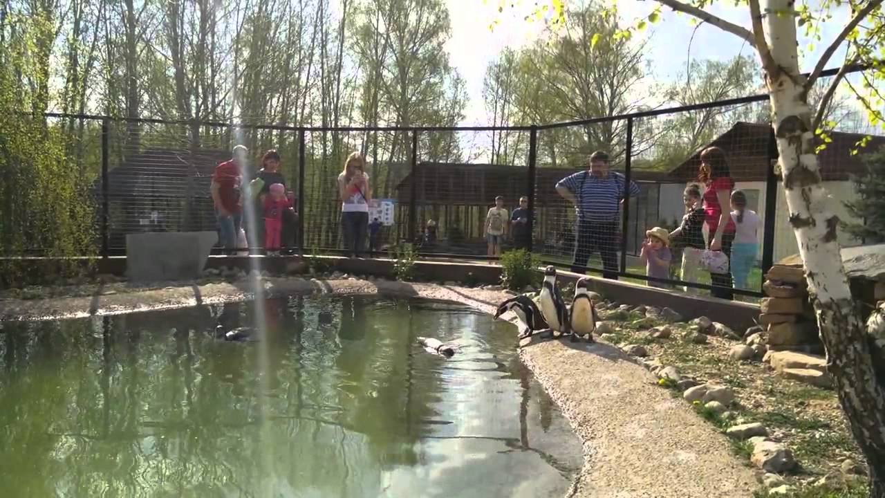 Oppo Find 7a тест камеры