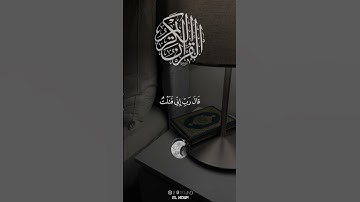 ما تيسر من سورة االقصص القارئ  ياسر الدوسري #اکتب_شی_تؤجر عليه #اكسبلور #لايك #بودكاست ابراهیم محمد