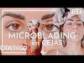 💉👁️ MICROBLADING de CEJAS Proceso completo | Día 1 al 30 | Cuidados, precio, avance día a día