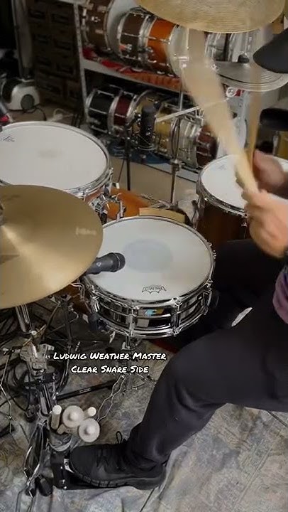 Snare Side Head Comparison What Do Y all Think shorts snaredrum snare-side-head-comparison-what-do-y-all-think-shorts-snaredrum