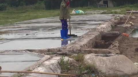 Video quy trình làm muối từ nước biển