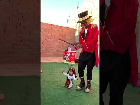 كيكي دارت حاله بشطيح ليوم