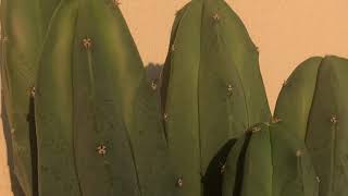 6A19226B E53E 40E2 A9F6 59Dde3560Dbb