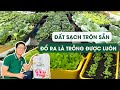 Đất trồng cây đa dụng Namix | Dùng trồng rau ăn lá/hoa/tất cả cây chậu mà  không cần trộn