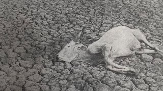 Vukari - Omnes Nihil (Full EP)