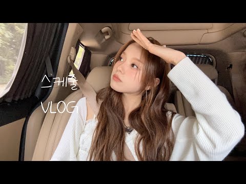 로시(Rothy) l 스케줄 브이로그