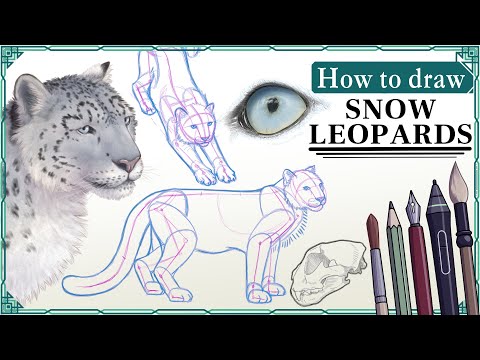 How to draw SNOW LEOPARDS - Mink's Tutorials