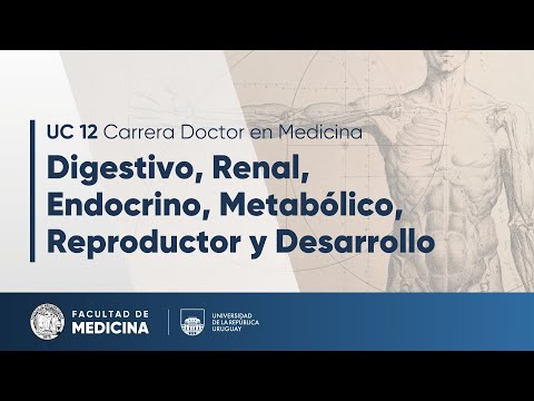 Fisiología - Circulación