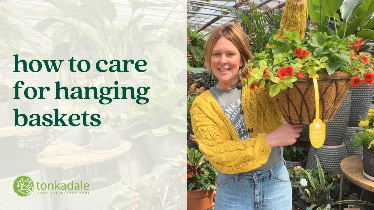 How to Care for Hanging Baskets - YouTube