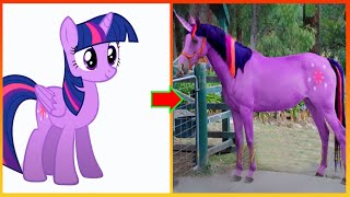 My Little Pony All Characters IN REAL LIFE @CartoonArt68
