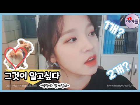 우기는 엉덩이가 몇 개인지 궁금하다