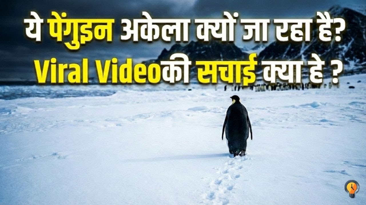 This Penguin Walked Away From Its Colony… Scientists Were Shocked | Viral video | Gyaan in 5 Minutes
