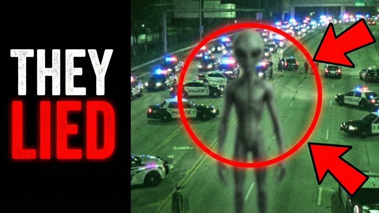 The Miami Mall Alien: What Actually Happened That Night?