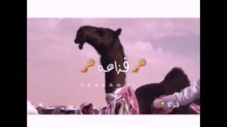 شيله فزاعه ادا:شبل الدواسر