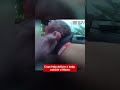 Cops help deliver a baby outside a Wawa
