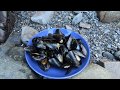 Wild Pembrokeshire Trout and Delicious Wild Garlic Mussels with Craig Evans