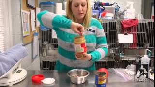 How to Stuff a Kong Toy