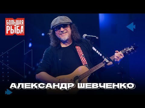 Александр Шевченко. Концерт | Живой звук