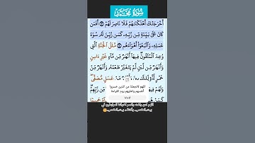 سورة محمد الايه 12-14 فارس عباد