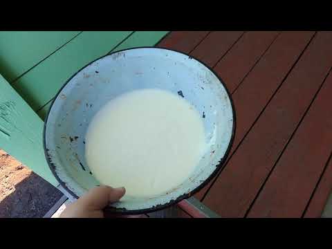 Польза кефира для собак.
