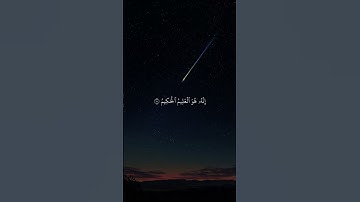 تلاوة مهيبة بصوتٍ قوي يهزّ القلوب 🔥 | جمال التجويد وروعة الأداء ✨