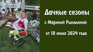 видео: Дачные сезоны с Мариной Рыкалиной от 18 июля 2024 года картинка: Дачные сезоны с Мариной Рыкалиной от 18 июля 2024 года
