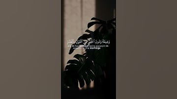 تلاوة خاشعة-ياسر الدوسري #قرآن #راحة_نفسية #تلاوة_خاشعة #ارح_قلبك #ياسر_الدوسري #اكسبلور #لايك #قلب