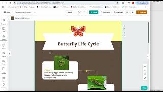 EDUC 630 Web-Based Assessment - Hannah Todd