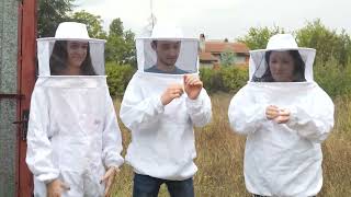 Novarto Team Visited an Apiary | Adopt a Hive to Help Bees and Local Beekeepers