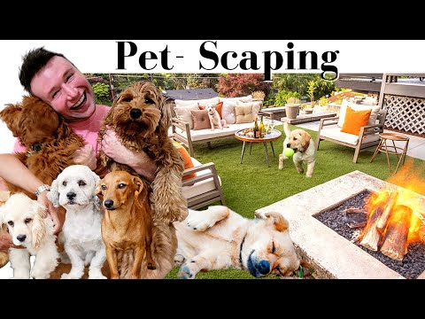 Your PET needs Backyard Living too!