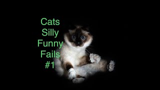 Cats Silly - Funny - Fails #1 by Colossus64 45 views 3 years ago 9 minutes, 51 seconds