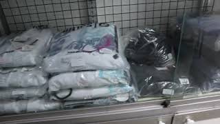 BJJ at EMAC (Executive Martial Arts Center)