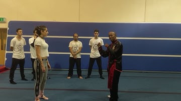 How To Block Punches Using The Praying Mantis Hooks series 1 Sifu Bryan