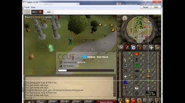 Runescape 2007 First Bot Client   wBot   Monkey Making & Training  Virus Scan updated 2014