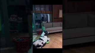 Mustafa Ceceli Ile Eşi Selin Ceceliden Odine Eğitim Dersi