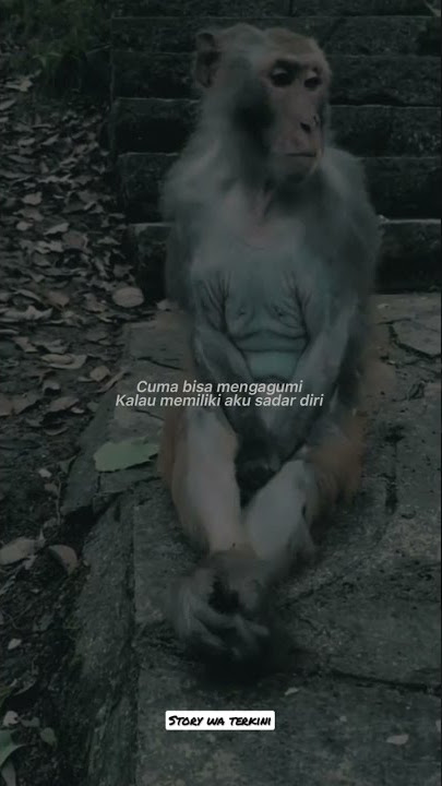 STORY GABUT || STORY WA 30 DETIK KEREN || #STORY #instagram ||#motivasi hari ini  ||#storywaterkini