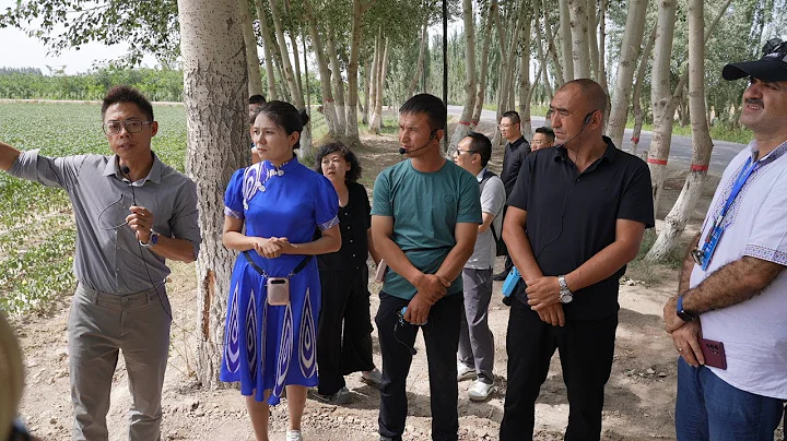 Foreign media professionals hail drones for boosting cotton yield in Xinjiang, China