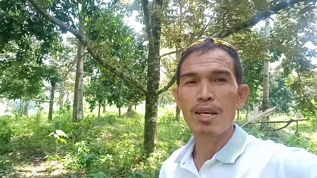 Farm lot For Sale Davao City Contact +639267291683 ( Watch up ) YouTube