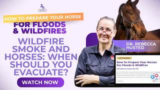Wildfire Smoke and Horses: When Should You Evacuate