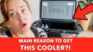 Ninja FrostVault 30qt Hard Cooler – Dry Zone & Ice‑For‑Days Performance!