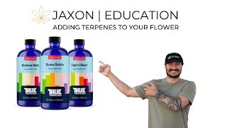 Adding Terpenes To Your Flower: A DIY Guide