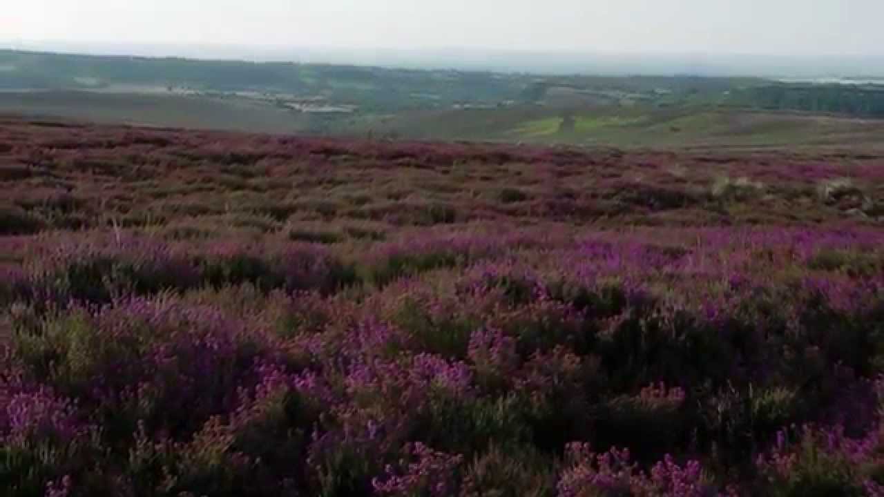The Sound of Yorkshire - "Heartland" composed by Ben Crosland and played by Black Dyke Band