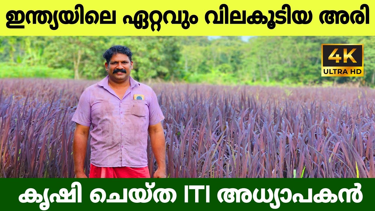 സുബിത്തിന്റെ 