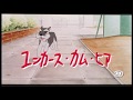 ユンカース カム ヒア 劇場予告編 ユンカース カム ヒア 劇場予告編