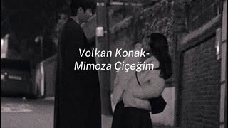 Volkan Konak - Mimoza Çiçeğim (speed up)