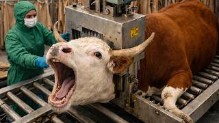 How Cow Skull Bones Are Turned Into Soap Full Factory Documentary