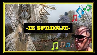 IZ SPRDNJE (Official Music Video)