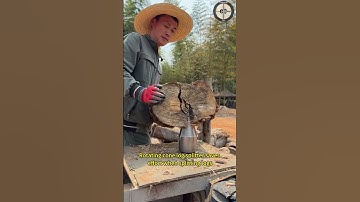 Rotating cone log splitter saves effort when splitting logs