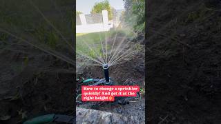 How to fix a pop up sprinkler quickly! #reticulation #perth