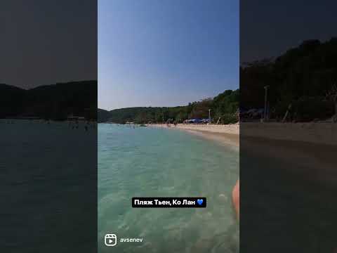 Тиен Паттайя